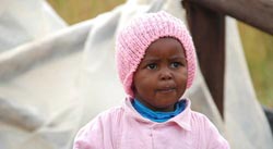 自动化文档的在线轰炸网页版